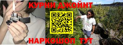 соль ск Новозыбков
