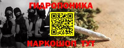 соль ск Новозыбков