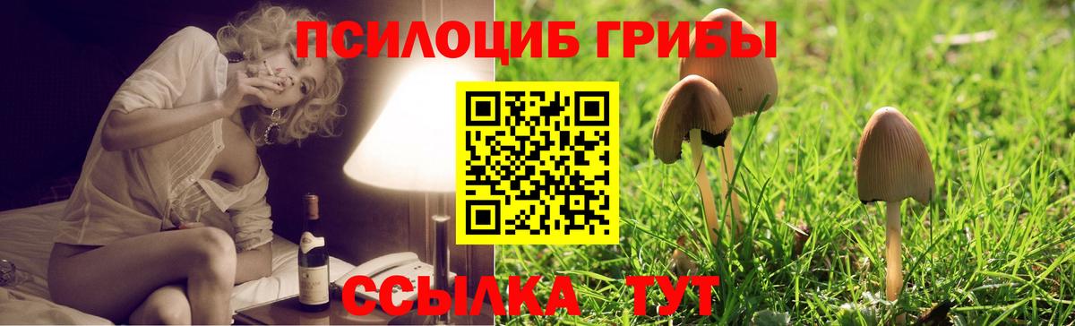 Галлюциногенные грибы Psilocybine cubensis Туапсе